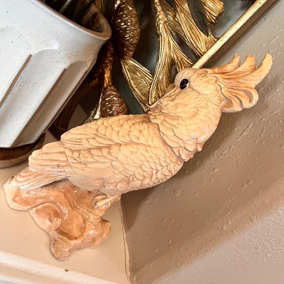 1940’s Chalkware Cockatoo - Picture 11 of 13